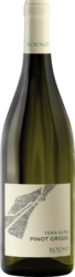 PINOT GRIGIO VALDADIGE DOC TERA ALTA 2023 x 37.5cl BOTT ROENO