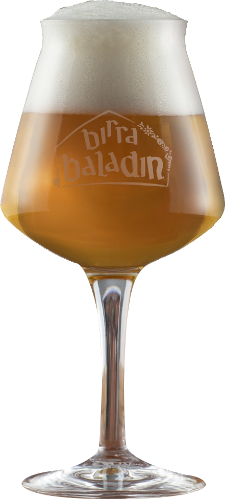 Bicchieri da Birra x6 BALADIN
