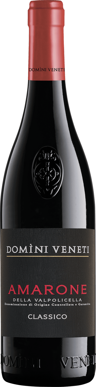Amarone Della Valpolicella D.O.C.G. Classico 1.5lt (W.B.) (2021) DOMINI VENETI